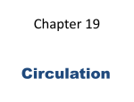 Chapter 19 Circulation