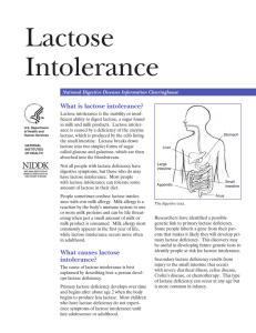 Lactose Intolerance What is lactose intolerance?