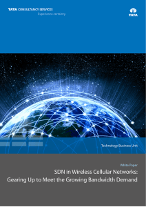 SDN in Wireless Cellular Networks: White Paper Technology Business Unit