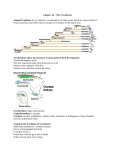 Vertebrate Homework - Linn