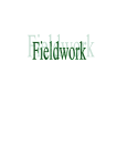 Fieldwork - Liceo Statale Galilei