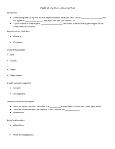 Chapter 28 How Plants and Animals Work Introduction Barheaded