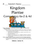 Comp 6a-2 Plant Packet