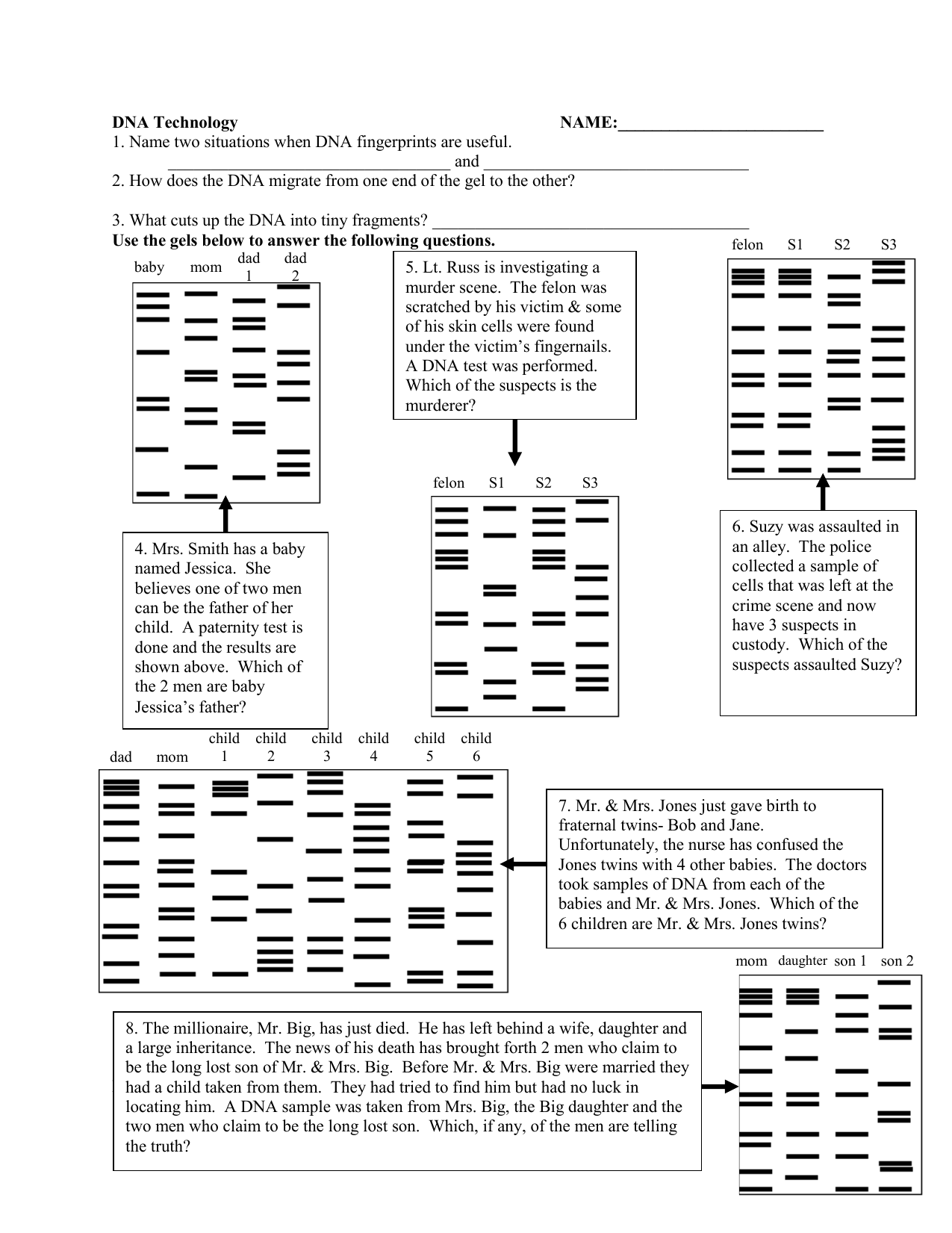DNA Technology Worksheet Regarding Dna Fingerprinting Worksheet Answers