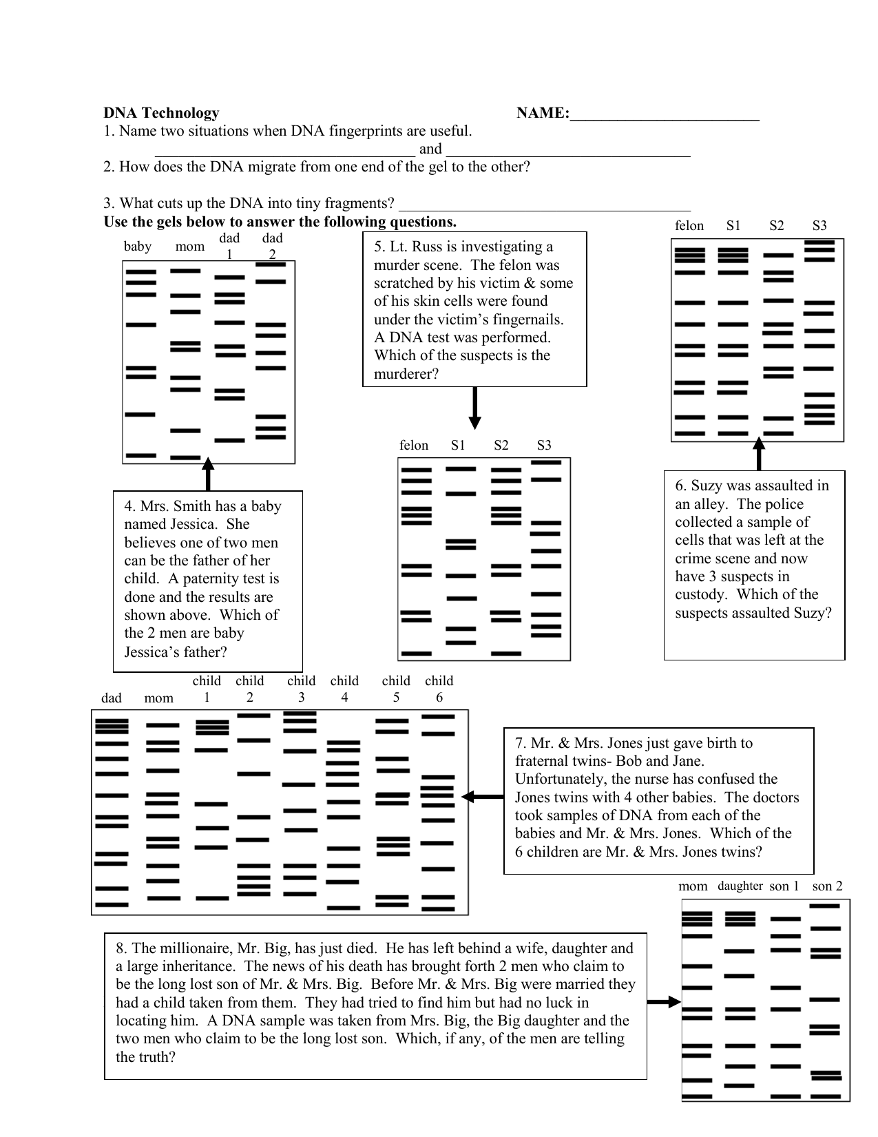 27 Dna Fingerprinting Worksheet Answers - Worksheet Information