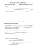 SBI4U Formal Lab Outline