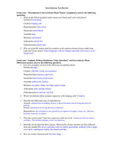 Invertebrates Test Review Key