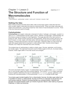 Chapter 1 • Lesson 3