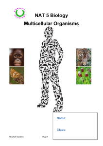 Unit 2 – Multicellular Organisms