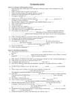 The Respiratory System Student worksheet