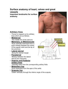 Surface anatomy of heart, valves and great vessels