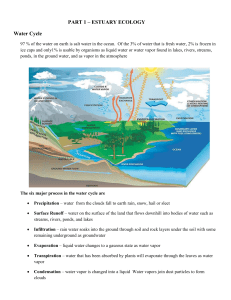 Estuary Ecology