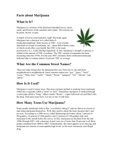 Facts about Marijuana - Institute for Student Achievement