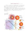 stellar_explosions - UT Austin (Astronomy)