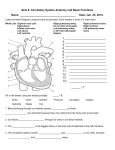 Quiz 9: Circulatory System Anatomy and Basic Functions