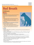 bad_breath_(halitosis)