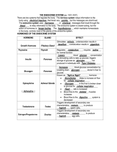 THE ENDOCRINE SYSTEM (pp