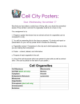 Cell City: