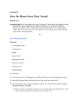 Lesson 3 How Do Plants Meet Their Needs? Fast Fact Sprouting