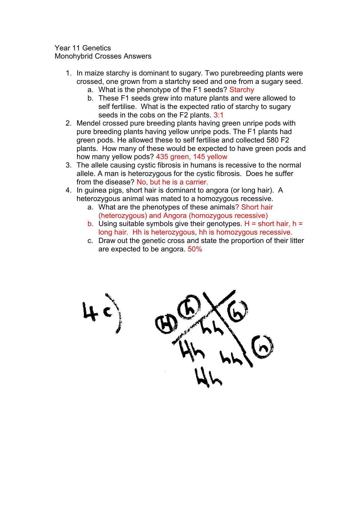 Monohybrid Crosses Worksheet Answers For Monohybrid Cross Worksheet Answers