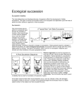 Ecological succession