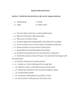 Organic Molecules Quiz