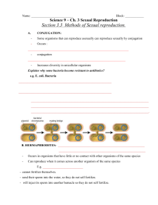 Types of reproduction in flowering plants