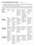 Cell Division Project Chart