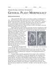 General Plant Morphology