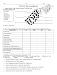 Honors DNA Study Guide