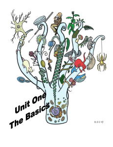 Chapter One Vocab Biology Organism Organization Growth