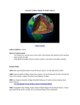 Instructor`s Notes: Chapter 17 Earth`s Interior Earth`s Interior Indirect