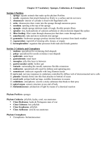 Chapter 33 Section 1 Vocabulary