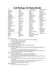 Q2 Lab Biology Study Guide