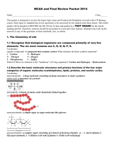 MCAS and Final Review Packet 2014