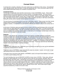 Corneal Ulcers