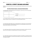 Punnett Squares Worksheet