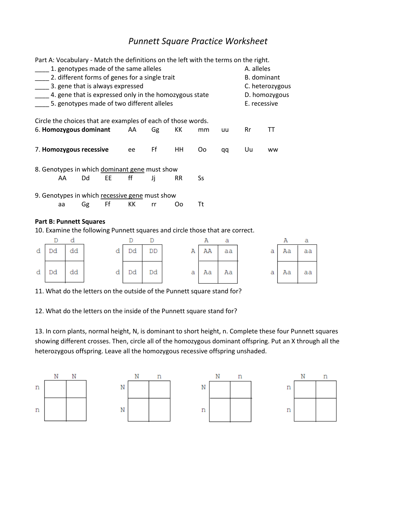 Punnett Square Practice Worksheet Part A: Vocabulary Pertaining To Genetics Problems Worksheet Answers