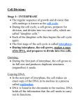 Cell Division