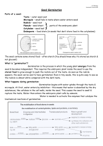 Seed germination information Sheet