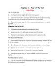 Ch6_objectives