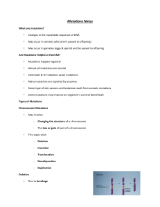 Mutations Notes