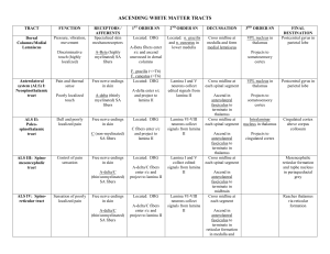ASCENDING WHITE MATTER TRACTS