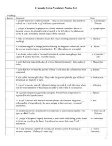 Lymph vocab Test