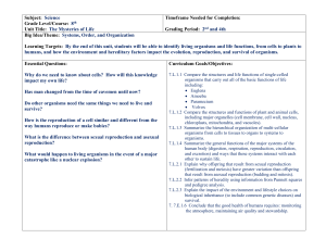 unit framework template