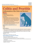 colitis_and_proctitis