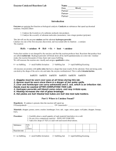Enzyme-Catalyzed Reactions Lab