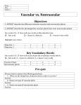 Name: Date: Subject: Vascular vs. Nonvascular Objectives 1