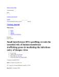 Small interference RNA profiling reveals the essential role of human