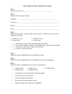 Study Guide for Tissues, Membranes, Wounds Obj. 1 Define the